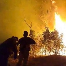 CBN apoya a bomberos y pobladores que luchan contra incendios forestales en Roboré